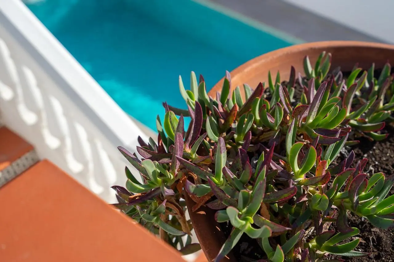 Stunning Seaview Villa In Torreblanca Private Pool By Costarentals - Ref 110 Фуэнхирола