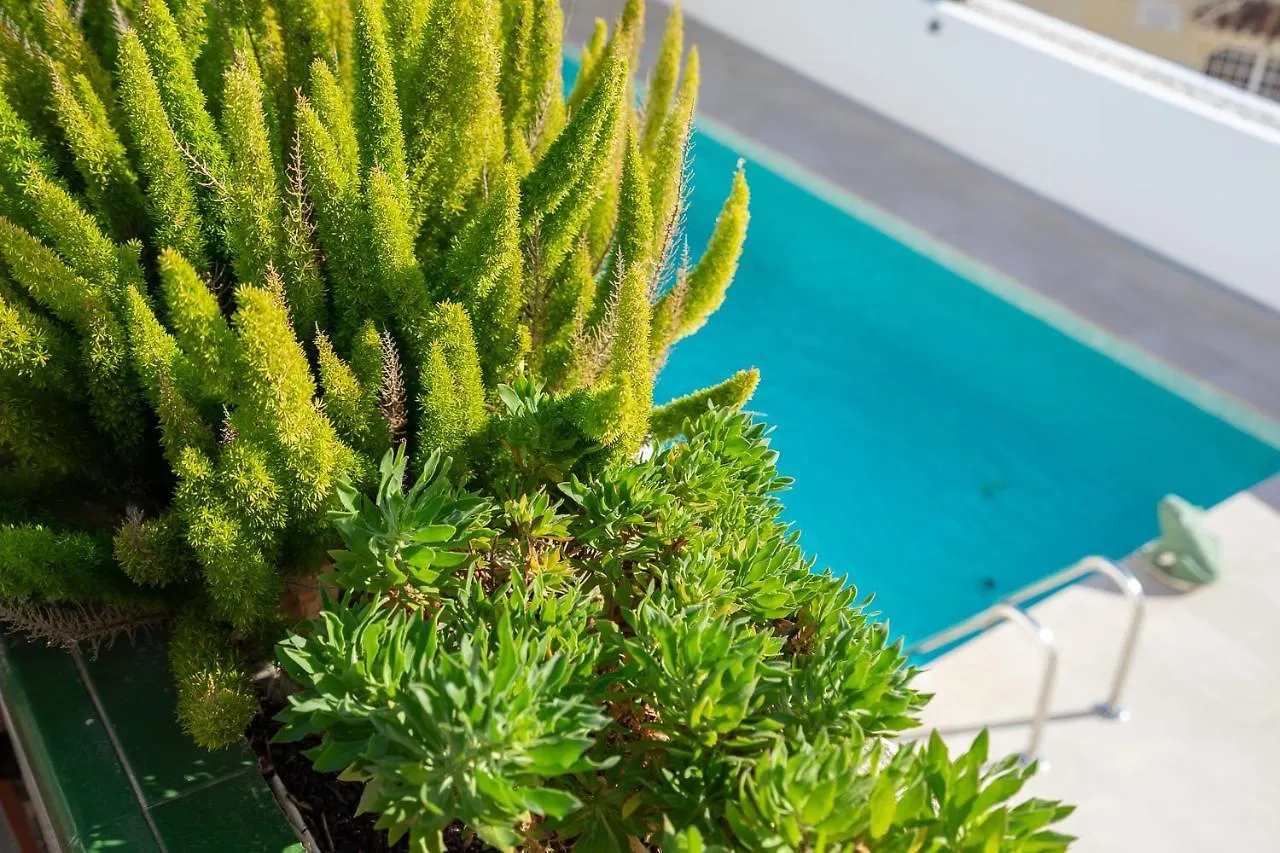 Stunning Seaview Villa In Torreblanca Private Pool By Costarentals - Ref 110 Fuengirola Spain